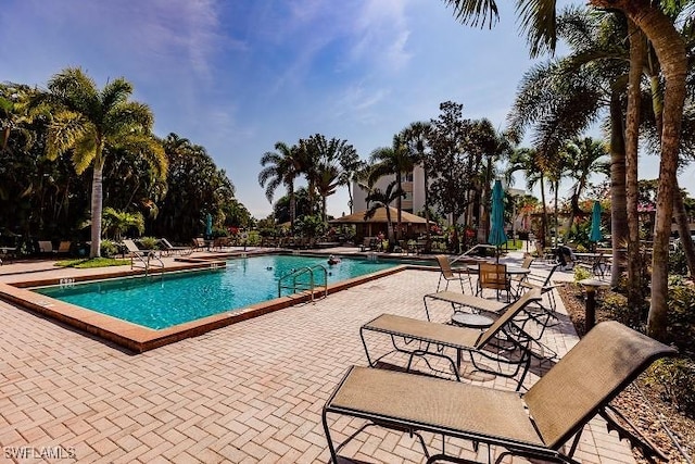 view of swimming pool featuring a patio area