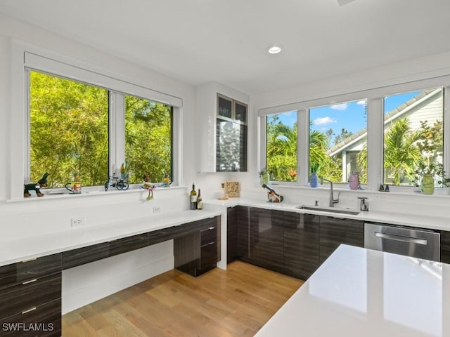 kitchen featuring stainless steel dishwasher, dark brown cabinetry, sink, and light hardwood / wood-style flooring