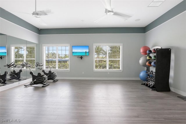 exercise room with ceiling fan and hardwood / wood-style flooring