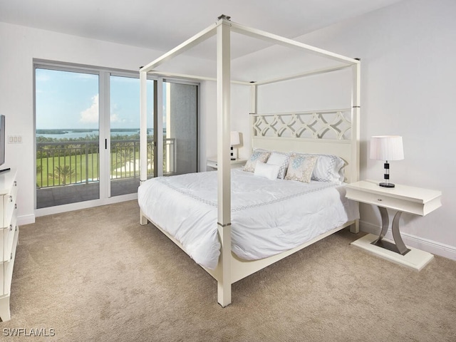 bedroom featuring access to exterior and carpet floors