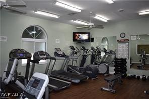 workout area featuring hardwood / wood-style flooring and ceiling fan