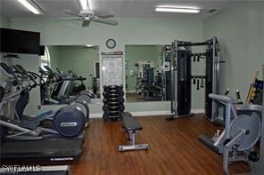 exercise room with ceiling fan and dark wood-type flooring