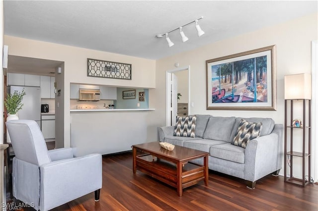 living room with dark hardwood / wood-style flooring and rail lighting