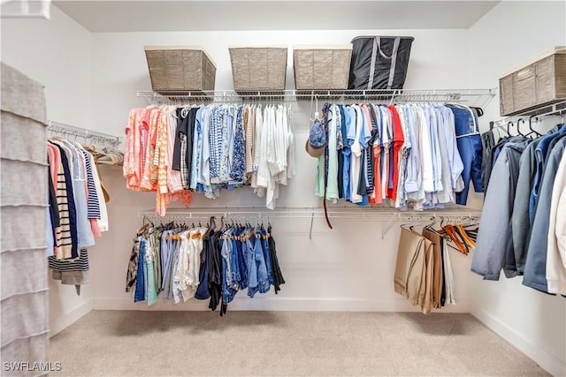 walk in closet featuring carpet floors