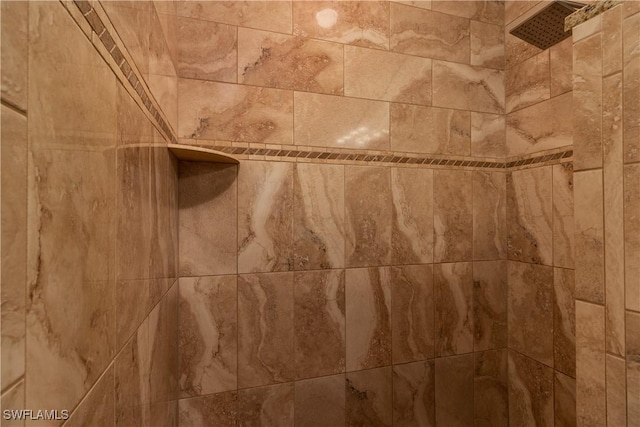 interior details featuring tiled shower