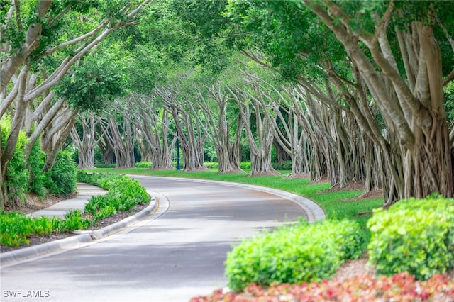 view of property's community