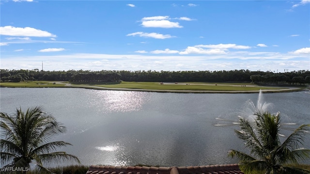 view of water feature