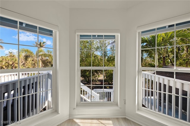 entryway with a wealth of natural light and light hardwood / wood-style flooring