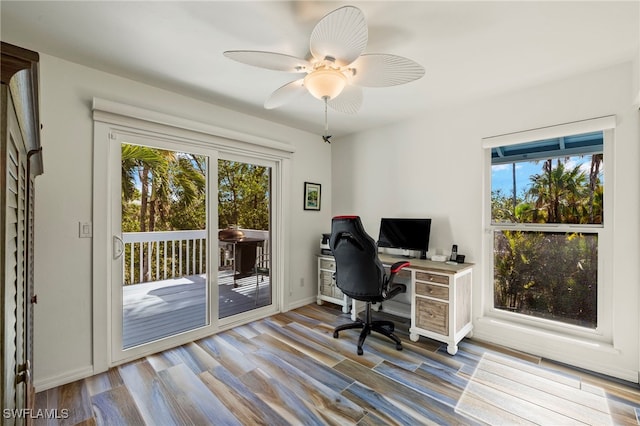 home office featuring ceiling fan and light wood-type flooring