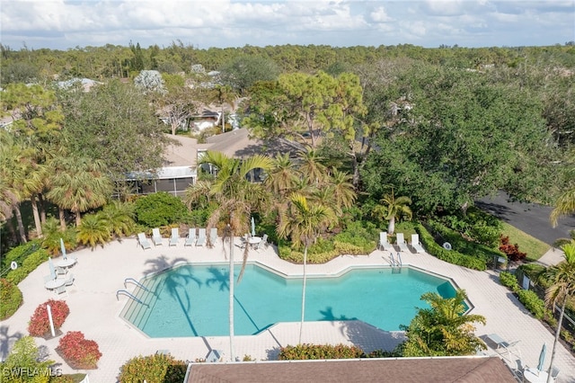 view of pool featuring a patio area