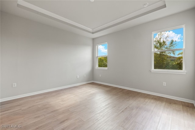 empty room with light hardwood / wood-style floors and a raised ceiling