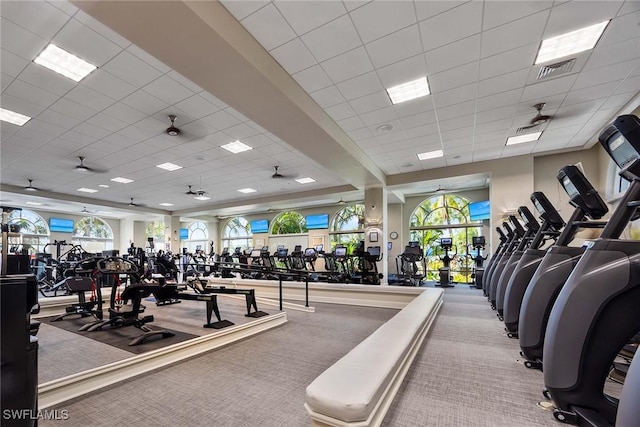 workout area featuring a paneled ceiling, ceiling fan, and light colored carpet