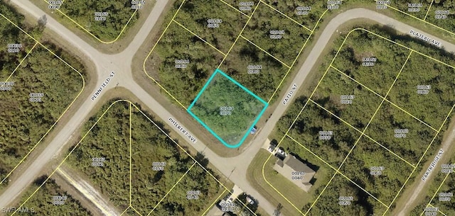 335 Patio St, Lehigh Acres FL, 33974 land for sale