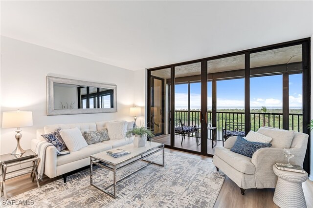 living room featuring hardwood / wood-style floors and expansive windows