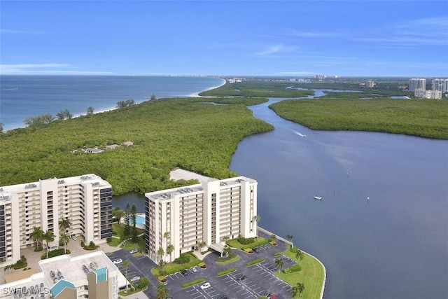 aerial view with a water view