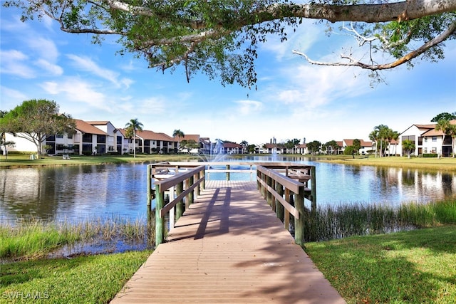 dock area with a water view