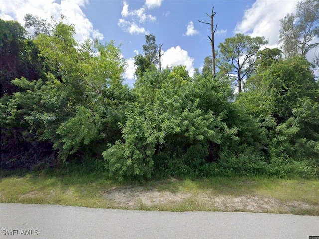 7006 Babcock Rd, Fort Myers FL, 33967 land for sale