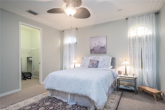 carpeted bedroom with ceiling fan, a walk in closet, and a closet