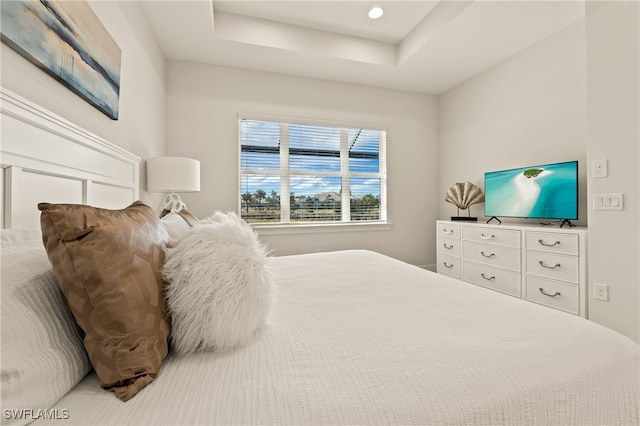 bedroom featuring a raised ceiling