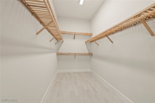 walk in closet featuring hardwood / wood-style floors