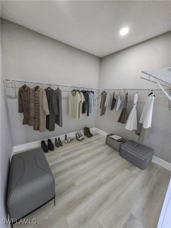 walk in closet with wood-type flooring