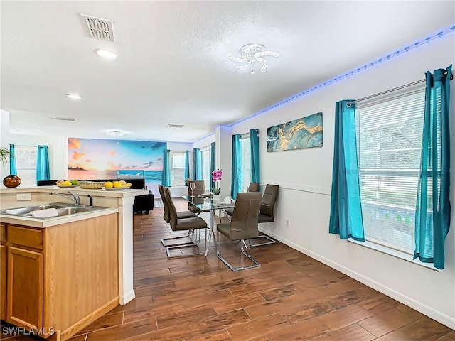 interior space with dark hardwood / wood-style floors and sink