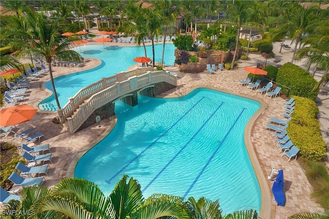 view of swimming pool with a patio