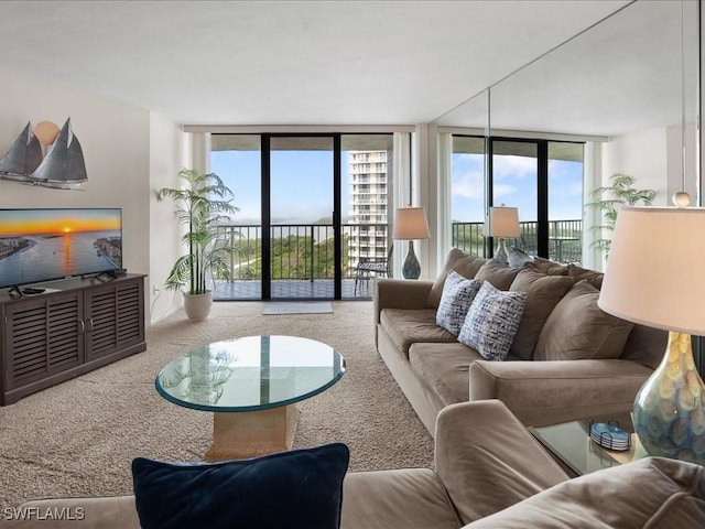 carpeted living room with expansive windows