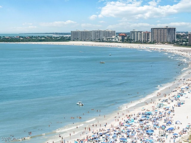 property view of water with a beach view