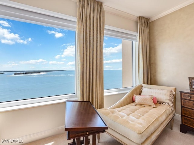 carpeted bedroom featuring a water view, ornamental molding, and multiple windows