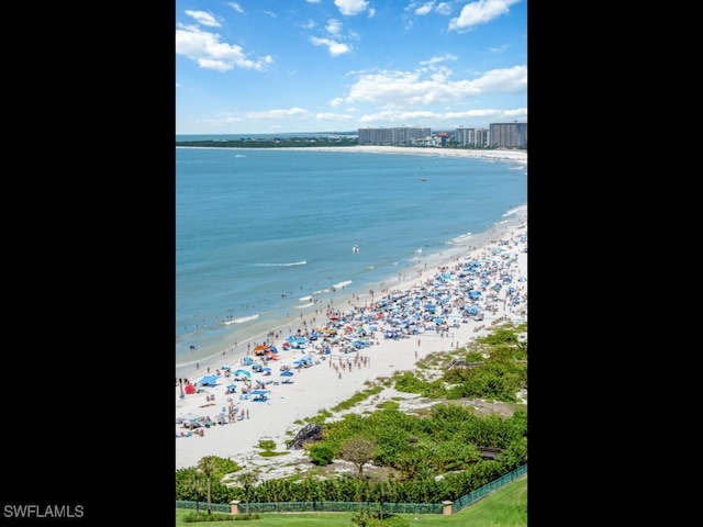 view of water feature featuring a beach view