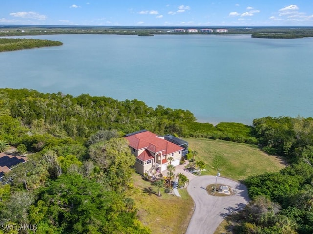 aerial view with a water view