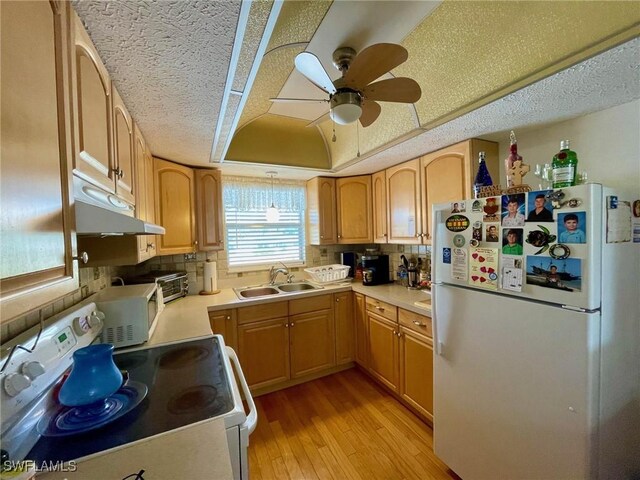 kitchen with sink, hanging light fixtures, ceiling fan, white appliances, and light hardwood / wood-style flooring