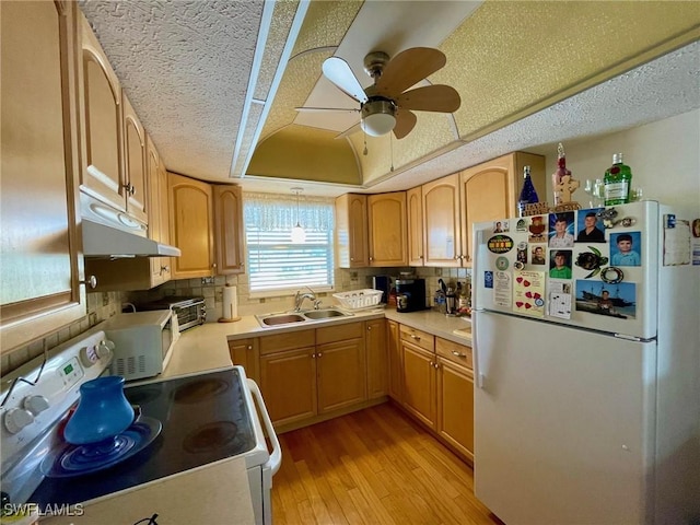 kitchen with white appliances, light wood-style flooring, light countertops, under cabinet range hood, and a sink