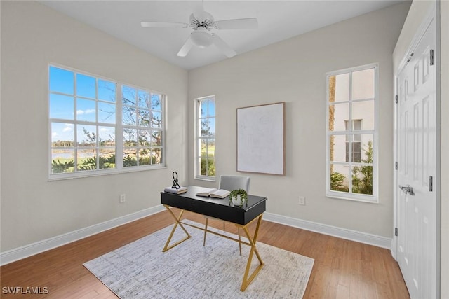 office with ceiling fan and hardwood / wood-style flooring