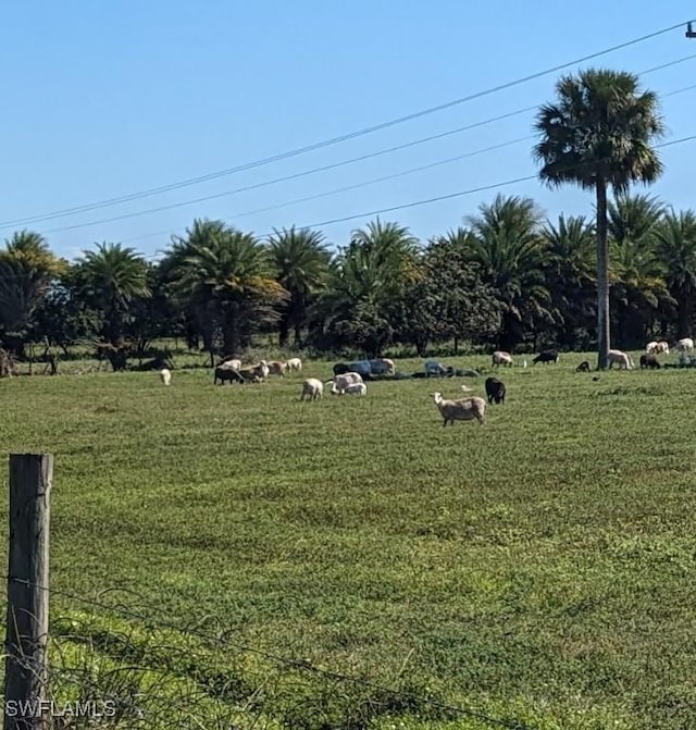 view of yard featuring a rural view