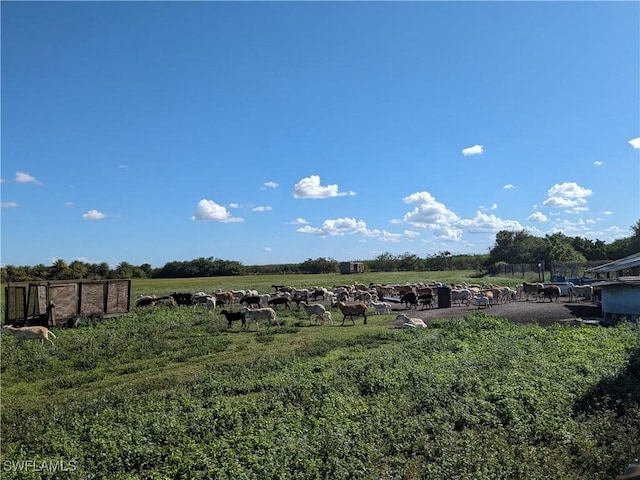 view of yard with a rural view