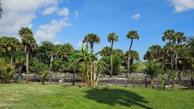 view of community featuring a lawn