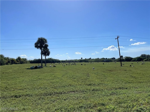 view of yard featuring a rural view