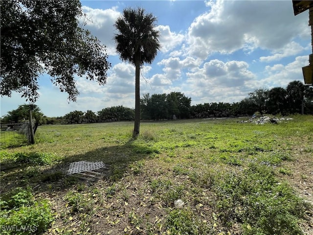 view of yard featuring a rural view