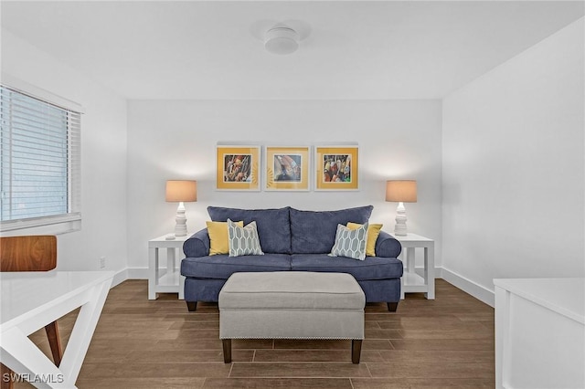 living room featuring hardwood / wood-style floors