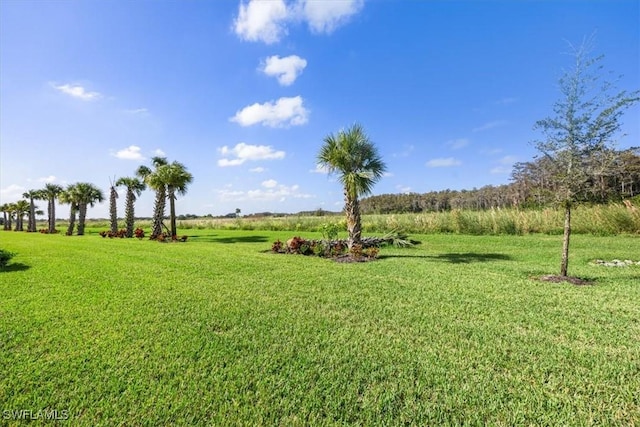 view of yard with a rural view