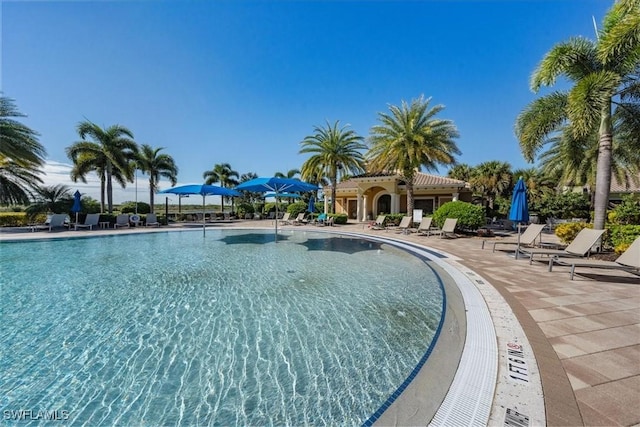 view of pool with a patio area