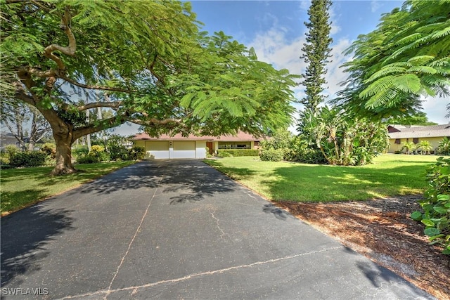 view of front of house with a front yard