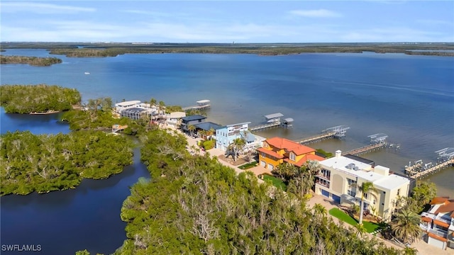 bird's eye view with a water view