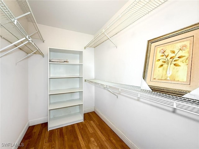 walk in closet featuring dark wood-type flooring