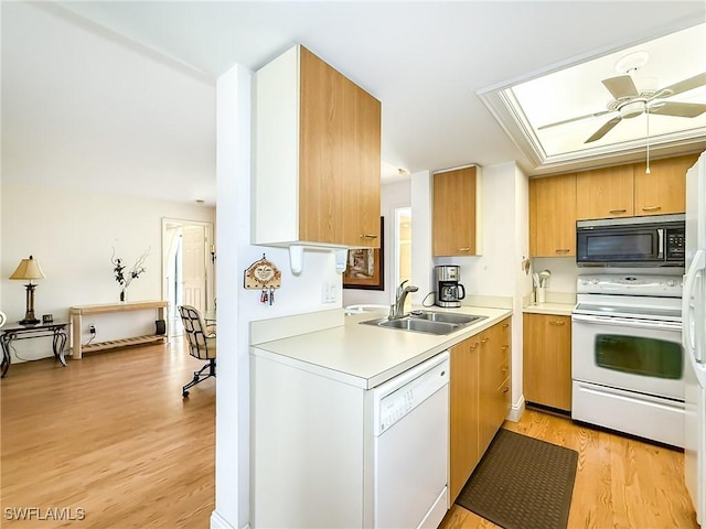 kitchen featuring ceiling fan, sink, light hardwood / wood-style floors, and white appliances