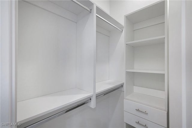 view of walk in closet