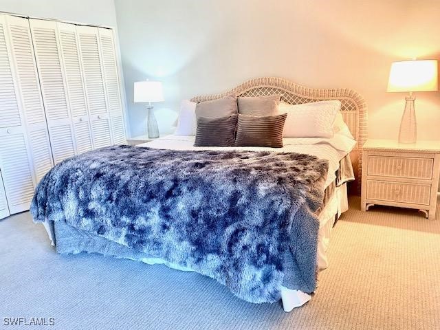 carpeted bedroom featuring a closet