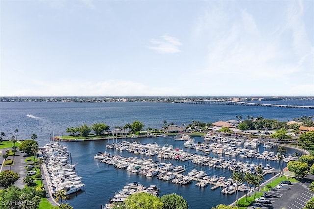 bird's eye view with a water view